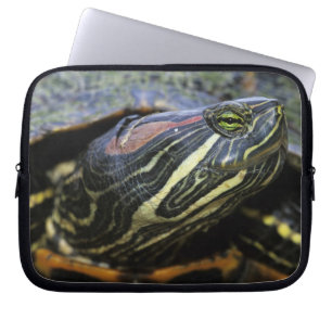 Red-eared Slider, Trachemys scripta elegans, 2 Laptop Sleeve