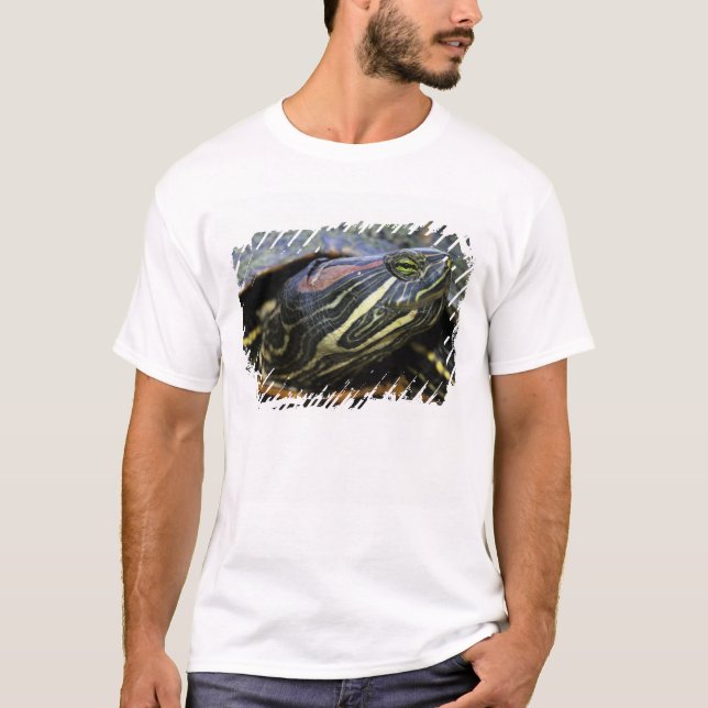 Red-eared Slider, Trachemys scripta elegans, 2 T-Shirt (Front)
