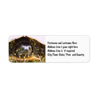 Red Eared Slider Turtle Head