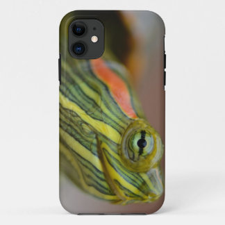 Red-eared Slider Turtle iPhone case