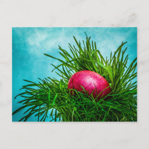 Red Easter egg in the grass Holiday Postcard