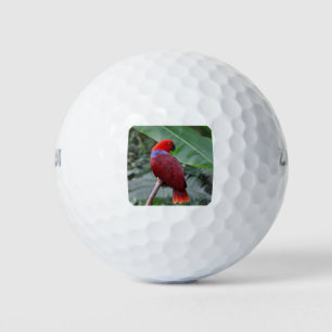 Red eclectic parrot golf balls