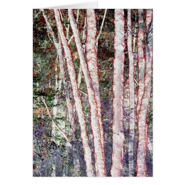 Red-Edged Trees (Front)