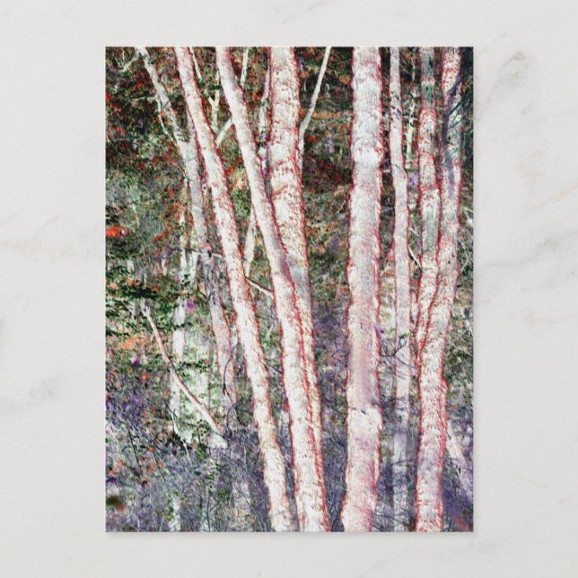 Red-Edged Trees Postcard (Front)