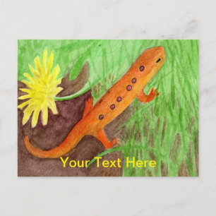 Red Eft Eastern Newt Holiday Postcard