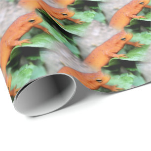Red Eft Orange Salamander Animal Pattern Wrapping Paper