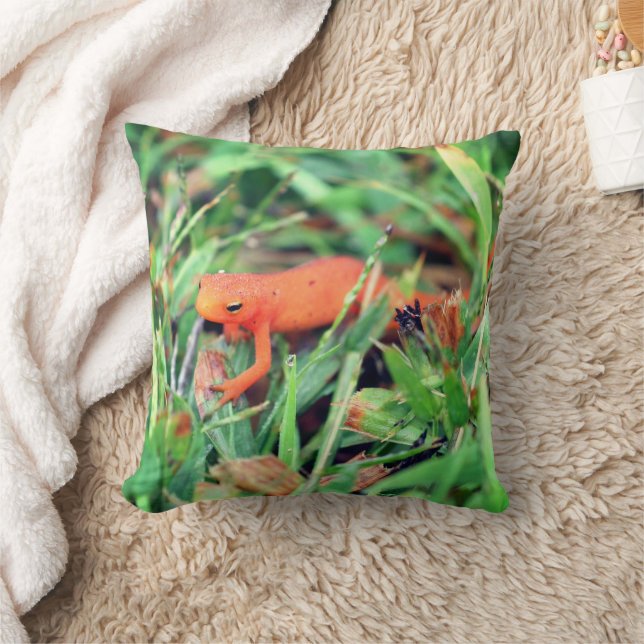 Red Eft Orange Salamander Nature 1  Cushion (Blanket)