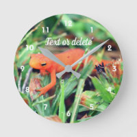 Red Eft Orange Salamander Nature Personalised
