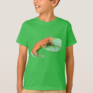Red Eft Orange Salamander Nature T-Shirt