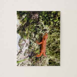 Red Eft Puzzle, 11" x 14", 252 pieces Jigsaw Puzzle