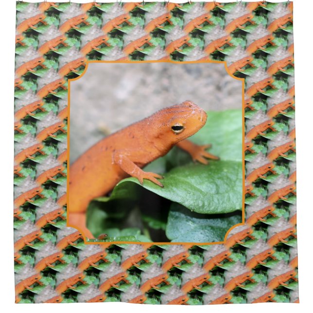 Red Eft Salamander Animal Nature Pattern  Shower Curtain (Front)