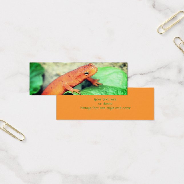Red Eft Salamander Nature Mini Bookmark (Office)