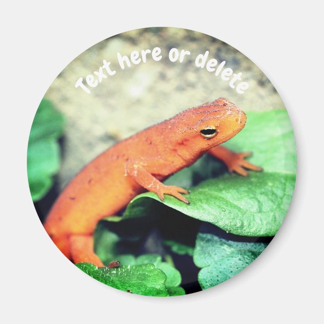 Red Eft Salamander Nature Personalized Magnet (Front)