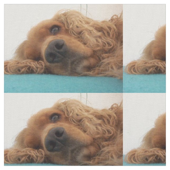 red english cocker spaniel 2.png fabric (Close Up)
