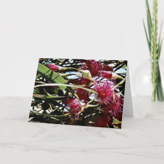 red eucalyptus flower holiday card