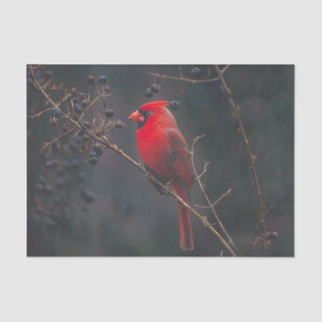 Red Exotic Cardinal Wildlife Tissue Paper (Front)
