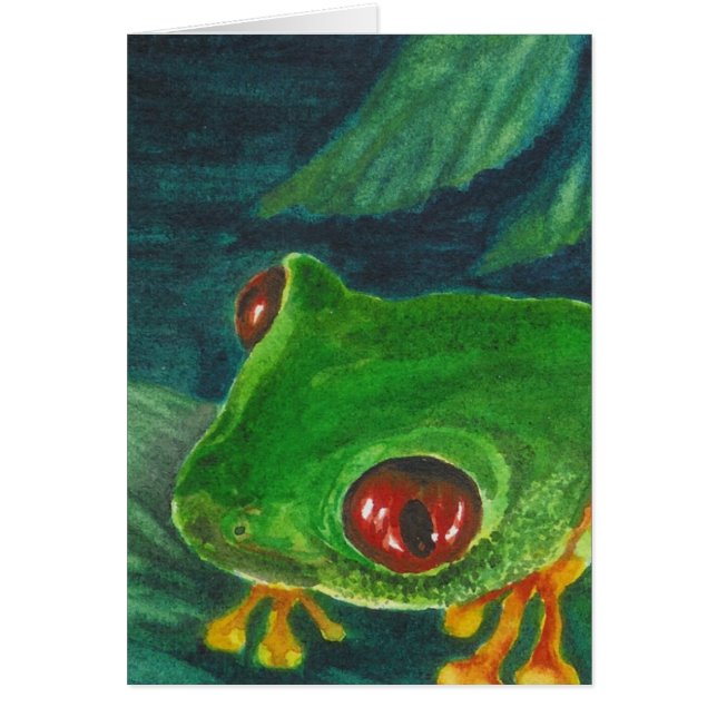 red eye green tree frog (Front)