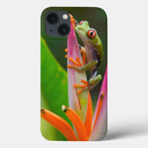 Red-eye tree frog, Costa Rica 2 iPhone 13 Case