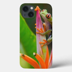 Red-eye tree frog, Costa Rica iPhone 13 Case