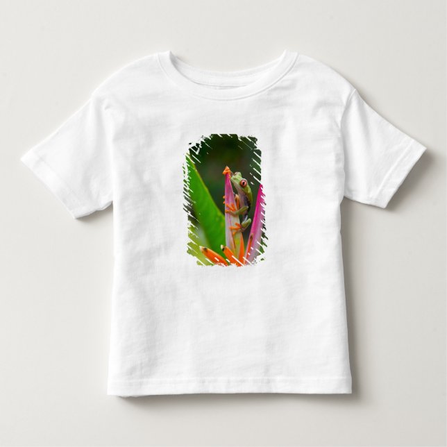Red-eye tree frog, Costa Rica Toddler T-Shirt (Front)