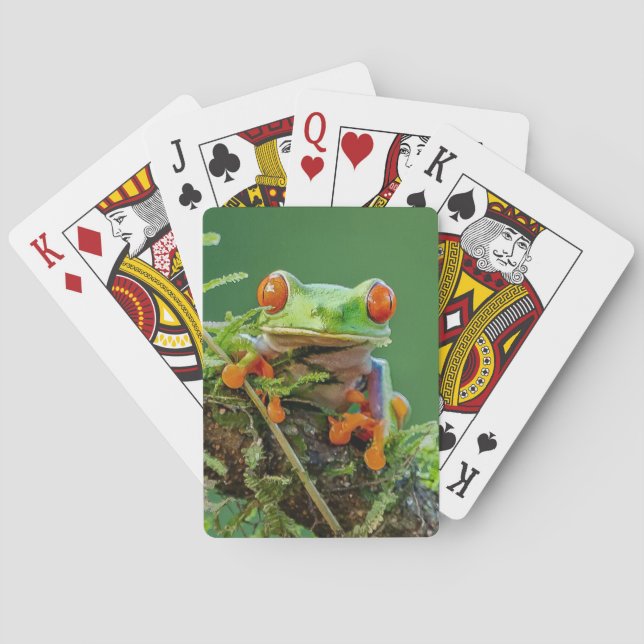 Red Eye Tree Frog on a branch Playing Cards (Back)