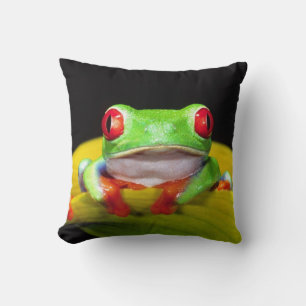 Red Eye Treefrog, Agalychinis callidryas, Native Cushion