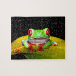 Red Eye Treefrog, Agalychinis callidryas, Native Jigsaw Puzzle