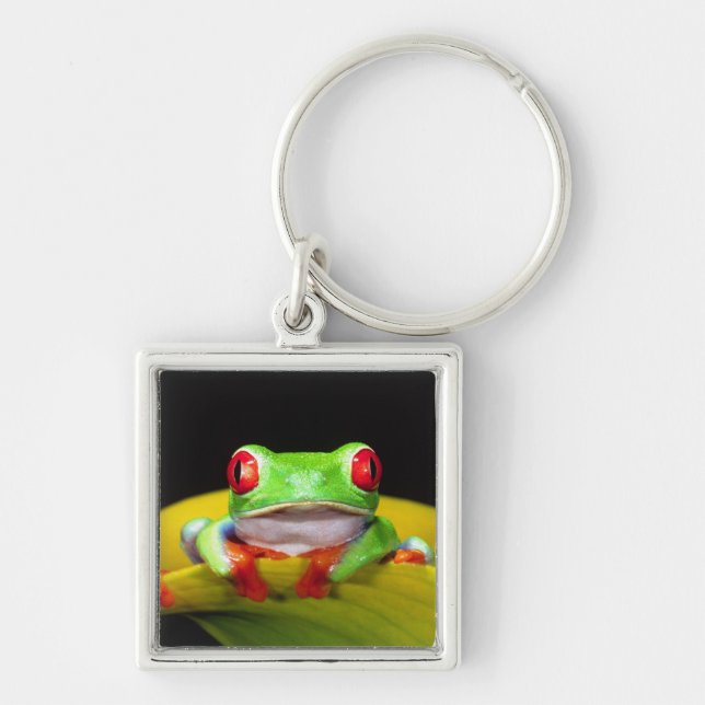 Red Eye Treefrog, Agalychinis callidryas, Native Key Ring (Front)