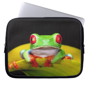 Red Eye Treefrog, Agalychinis callidryas, Native Laptop Sleeve