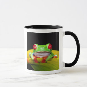 Red Eye Treefrog, Agalychinis callidryas, Native Mug