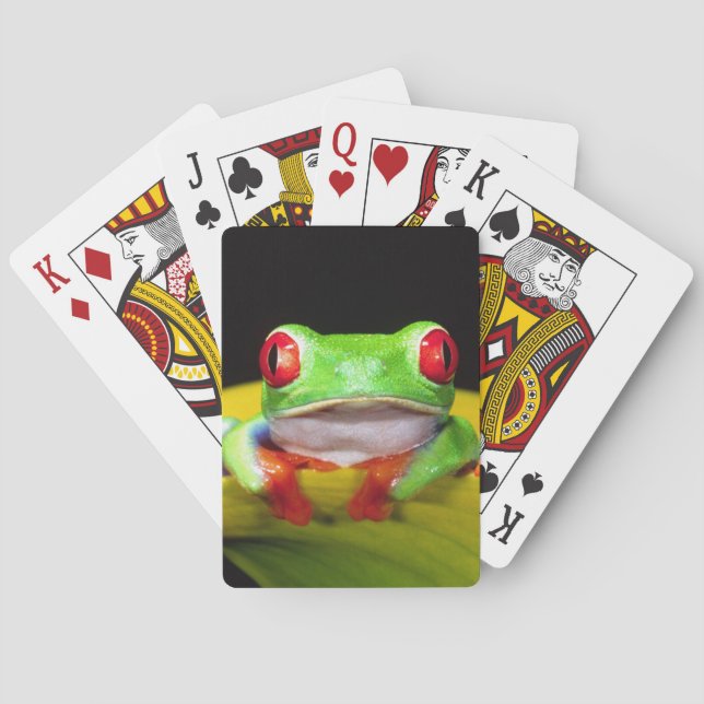 Red Eye Treefrog, Agalychinis callidryas, Native Playing Cards (Back)