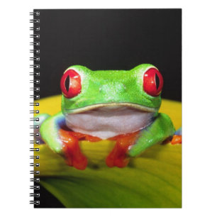 Red Eye Treefrog, Agalychinis callidryas, Native Spiral Notebook