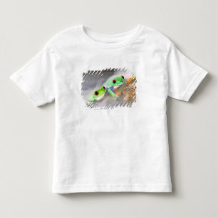 Red Eye Treefrog in the mist, Agalychinis 2 Toddler T-Shirt