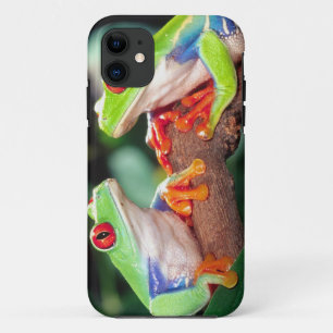 Red Eye Treefrog Pair, Agalychinis callidryas, Case-Mate iPhone Case