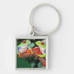 Red Eye Treefrog Pair, Agalychinis callidryas, Key Ring