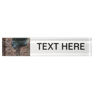 red eyed box turtle reptile animal nameplate
