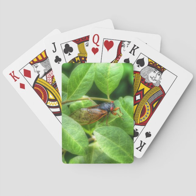Red Eyed Cicada  Playing Cards (Back)