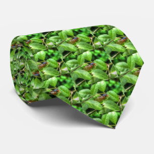 Red Eyed Cicada  Tie
