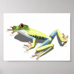 Red Eyed Frog Poster