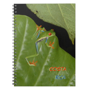 Red Eyed Gaudí Frog Cust. Text Notebook