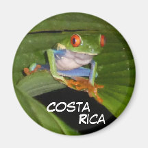 Red Eyed Gaudy Frog Customisable Magnet