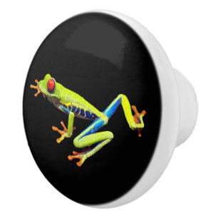 Red Eyed Painted Tree Frog Ceramic Knob