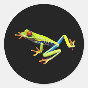 Red Eyed Painted Tree Frog  Classic Round Sticker