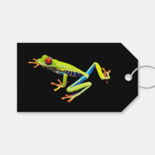 Red Eyed Painted Tree Frog Gift Tags