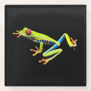 Red Eyed Painted Tree Frog Glass Coaster