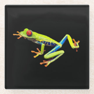 Red Eyed Painted Tree Frog Glass Coaster