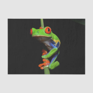 Red Eyed Painted Tree Frog Tissue Paper