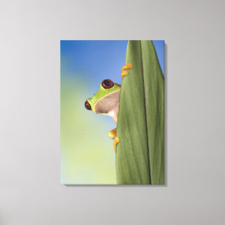 Red Eyed Tre Frog Peeking From Behind a Leaf Canvas Print