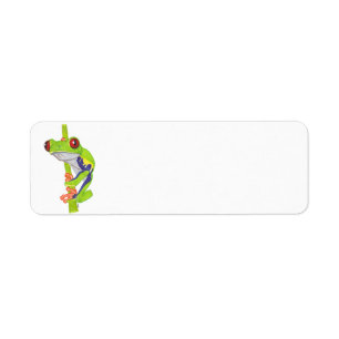 RED EYED TREE FROG