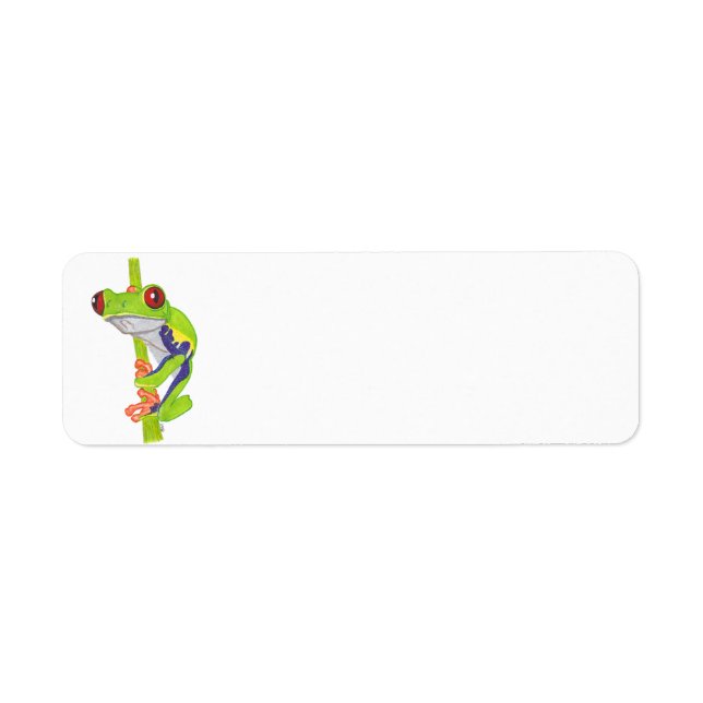 RED EYED TREE FROG (Front)